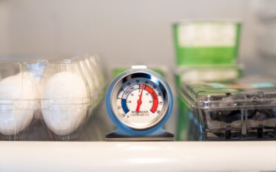A che temperatura deve stare il frigo in estate?