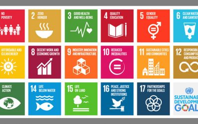 Agenda 2030: cos’è e quali sono gli obiettivi
