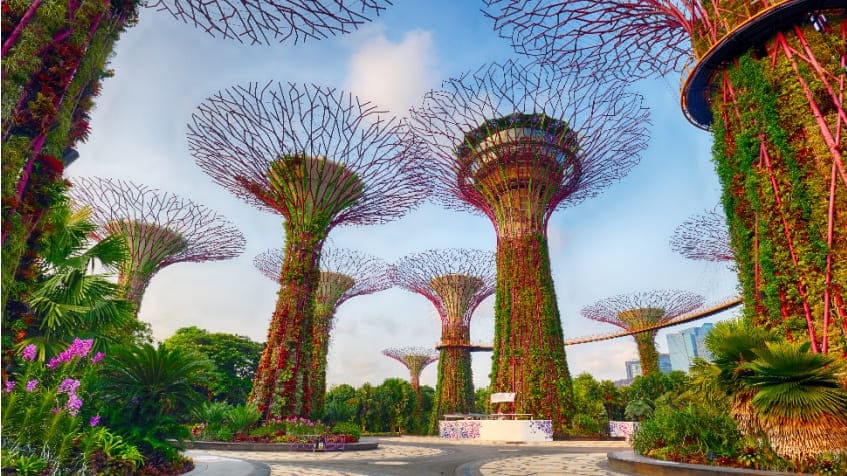 Come funzionano gli alberi solari con pannelli fotovoltaici, esempio Singapore