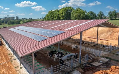 Cosa vuol dire indipendenza energetica?