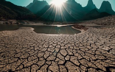 Quali sono le conseguenze della desertificazione?
