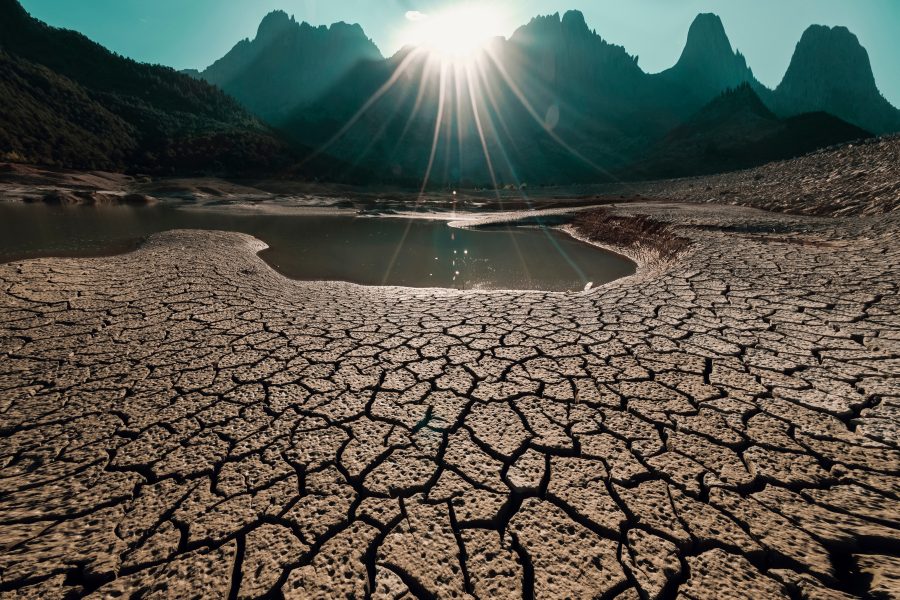 Quali sono le conseguenze della desertificazione?