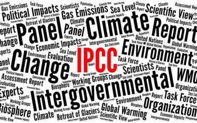Cos’è l’IPCC?