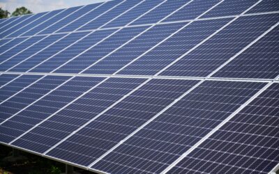 Quali sono i migliori pannelli fotovoltaici?