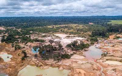 Quali sono le conseguenze della deforestazione dell’Amazzonia?