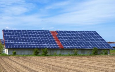 Bando Agrisolare 2024: incentivi fotovoltaico per imprese agricole