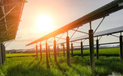 Che cos’è l’agro-fotovoltaico?