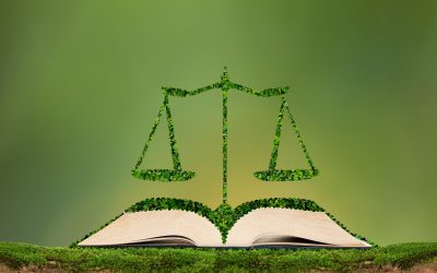 Che cosa fa un avvocato ambientale?