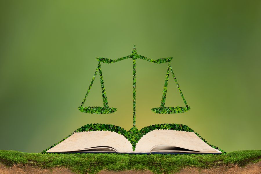 Che cosa fa un avvocato ambientale?