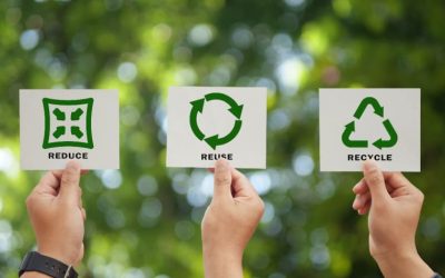 Come salvaguardare l’ambiente: 10 idee per aiutare la terra