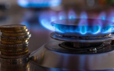 Qual è il consumo di gas medio per famiglia?