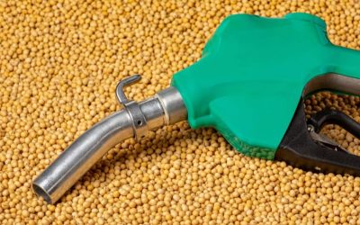 Cosa sono i biocarburanti