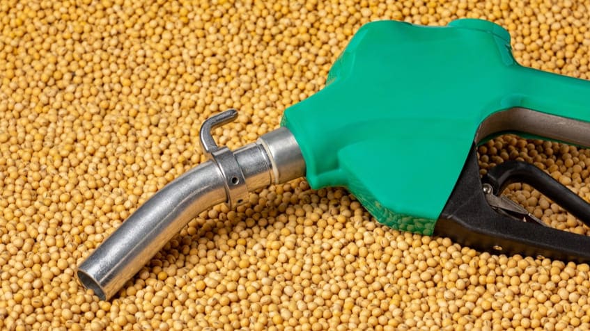 cosa sono i biocarburanti, vantaggi