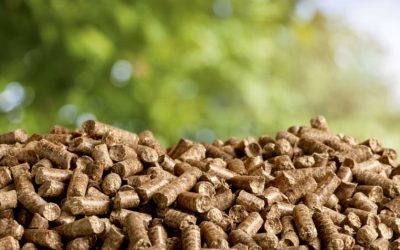 Energia da biomassa: cos’è e perché è importante