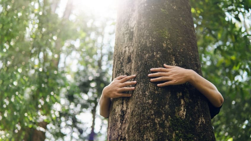 10 frasi sul rispetto dell’ambiente