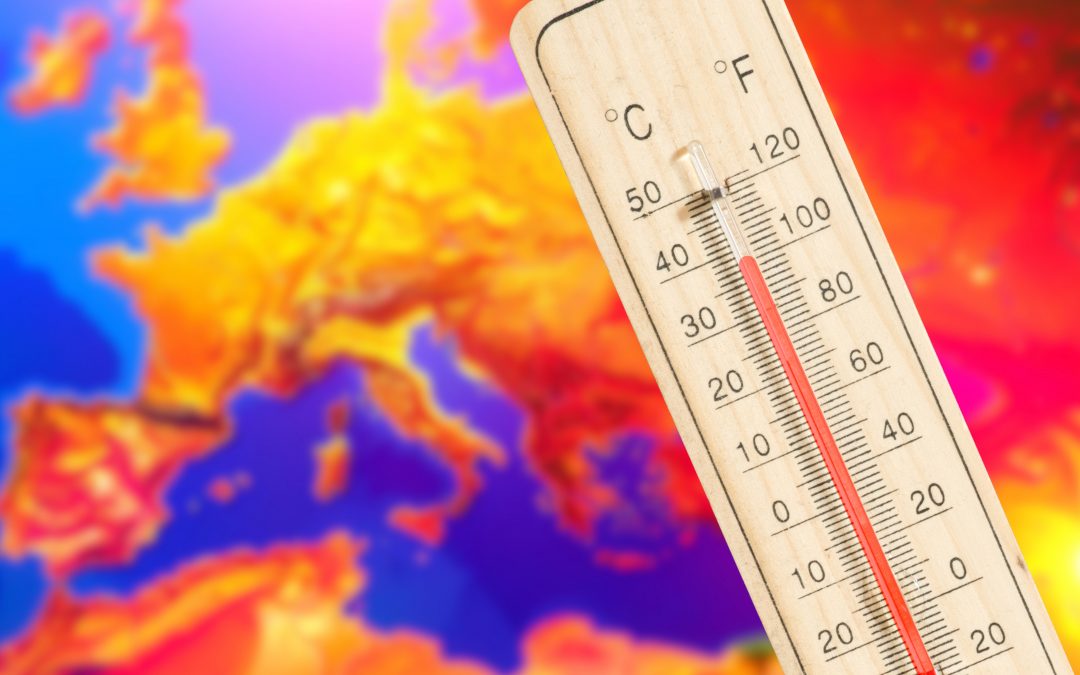 Quali sono i progressi dell’UE contro il cambiamento climatico?