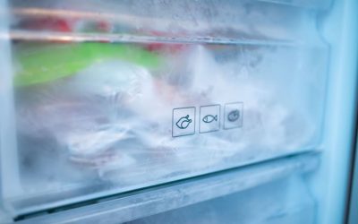Quanto consuma un freezer?